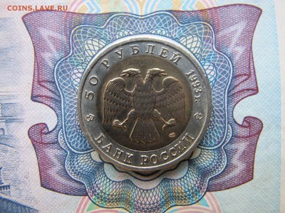 Красная Книга 50 рублей 1993 "Гималайский медведь" - IMG_1769.JPG