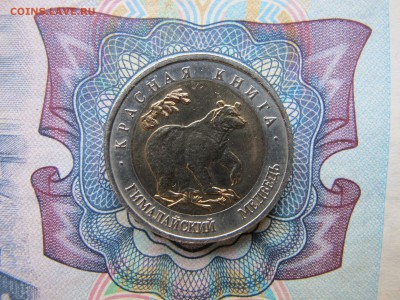 Красная Книга 50 рублей 1993 "Гималайский медведь" - IMG_1768.JPG