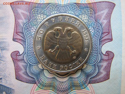 Красная Книга 50 рублей 1993 "Туркменский зублефар" - IMG_1775.JPG