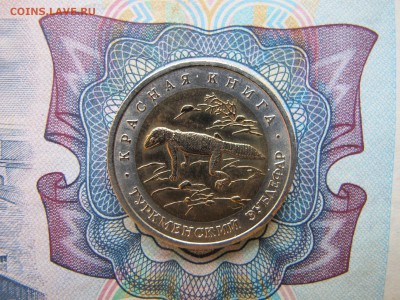 Красная Книга 50 рублей 1993 "Туркменский зублефар" - IMG_1774.JPG
