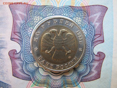 Красная Книга 50 рублей 1993 "Дальневосточный Аист" - IMG_1771.JPG