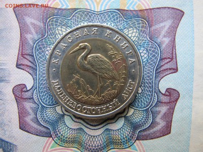 Красная Книга 50 рублей 1993 "Дальневосточный Аист" - IMG_1770.JPG