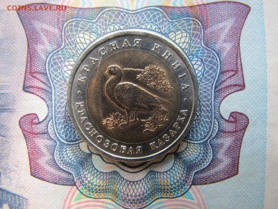 Красная Книга 10 рублей 1992 "Краснозобая Казарка" - IMG_1764.JPG