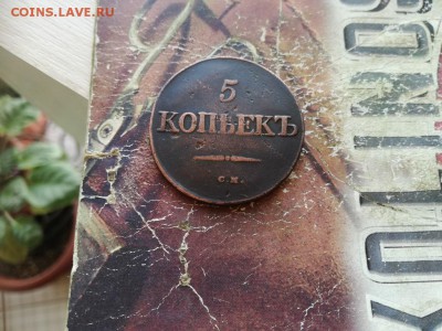 5 копеек 1831 СМ до 01.02.2019 - 1831 - копия (2)
