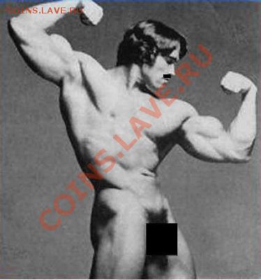 делает - прямо сейчас !!! - arnold-schwarzenegger-clothless