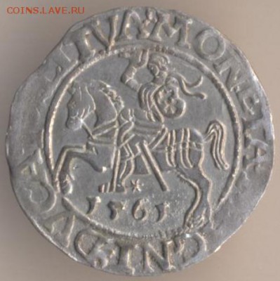 Литовский полугрош Жыгимонта Августа, 1565 год - 46