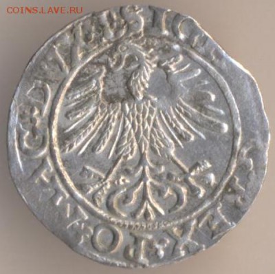 Литовский полугрош Жыгимонта Августа, 1565 год - 45