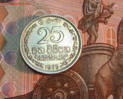Шри Ланка  25 центов  1975 г         до 05.02 - IMG_2885.JPG