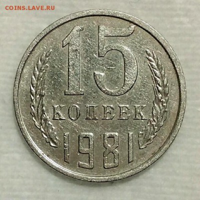15 коп. 1981. АИФ Шт.2. Волосатая. До 01.02.19. 22-00 Мск. - f8ia-C0ijEU