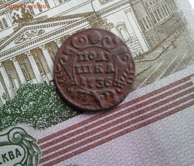 Полушка 1736 года, до 06.02.19 в 22.00 по мск - 111.JPG