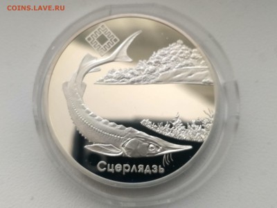 БЕЛОРУССИЯ,20 рублей 2007г(Стерлядь)до 3.02.2019г - IMG_20190131_124352_HDR