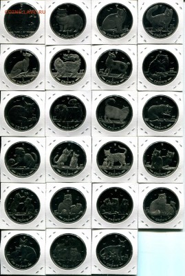 О.Мэн КОШКИ 1988-2010 до 04.02.19 22-00 мск - Мэн, кошки-1