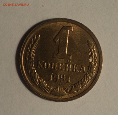 Несколько браков на оценку. - DSC04401.JPG