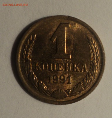 Несколько браков на оценку. - DSC04445.JPG
