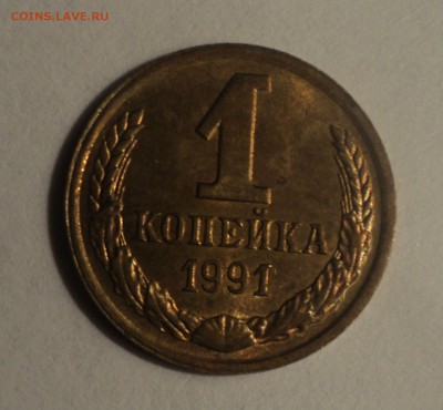 Несколько браков на оценку. - DSC04492.JPG