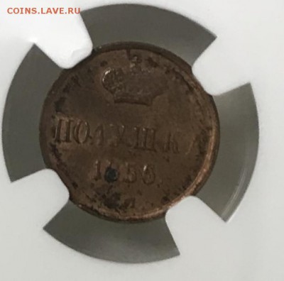 Полушки 1851 г. и 1856 г Е М, unc + медь Н2 в слабах - 30E7A104-EC99-4847-A0F4-0AFA484C5699