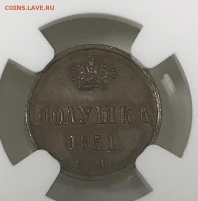 Полушки 1851 г. и 1856 г Е М, unc + медь Н2 в слабах - 39FDBD0B-C39C-4179-A000-1C6F6645D824