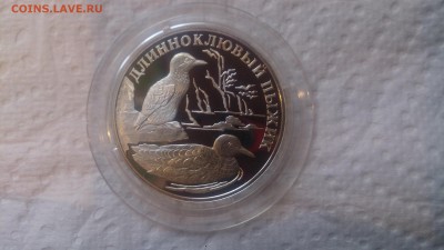 Красная книга 1 Рубль 2005 Длинноклювый пыжик до 7.02 - DSC_4340.JPG