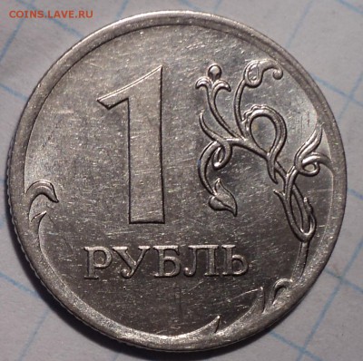 РАЗНОВИДНОСТИ  от  СЛФ - DSC03849.JPG