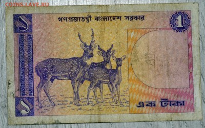 С РУБЛЯ Бангладеш 1 така 1982 до 03.02.19 22 мск - DSC_5131.JPG