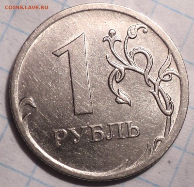 РАЗНОВИДНОСТИ  от  СЛФ - DSC03878.JPG