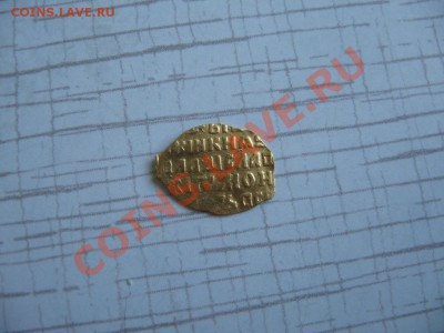 золотая чешуйка - IMG_1665.JPG