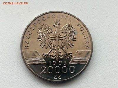 ПОЛЬША,20000 злотых 1993г(Ласточка)до 4.02.2019 - IMG_20190131_123737_HDR