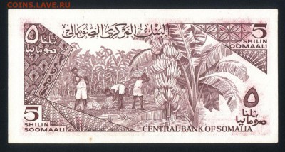 Сомали 5 шиллингов 1987 aunc 08.02.19. 22:00 мск - 1
