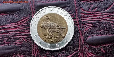Красная книга 1994 год. В патине хорошая. Сапсан. До 08.02 - IMG_20190122_230056