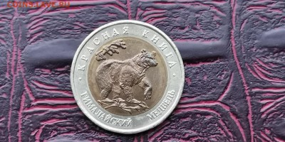 Красная книга 1993 год. Гималайский Медведь. До 08.02 - IMG_20190122_230131