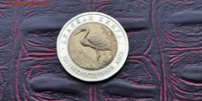 Красная книга 1993 год. Дальневосточный Аист. До 08.02 - IMG_20190122_230144