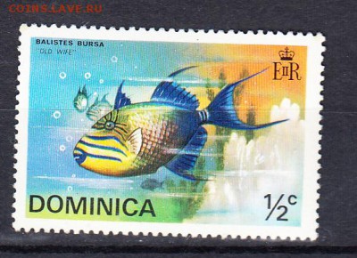 Доминика рыбы 1м ** - 39