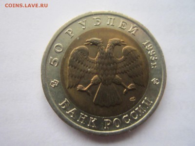 КК 1993 МЕДВЕДЬ 50 руб. до 08.02.19 в 22:30 - IMG_6550.JPG