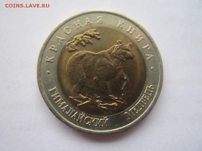 КК 1993 МЕДВЕДЬ 50 руб. до 08.02.19 в 22:30 - IMG_6549.JPG
