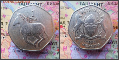 Ботсвана 1 пула, 1991 - 1
