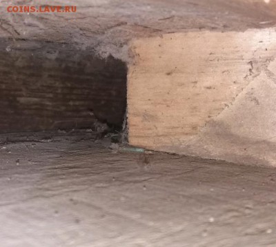 5 копеек 1875 - rps20190203_212222