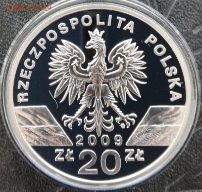 Польша 20 злотых 2009 г. "Ящерица" до 10.02 старт 200₽ - IMG_20190127_202208