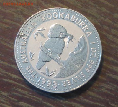 АВСТРАЛИЯ - КУКАБАРРА 1993 г. до 10.02, 22.00 - Кукабарра-93 (первая)_1.JPG