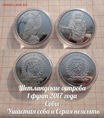 Шетландские острова 1 фунт 2017 Совы(2шт). До 6.02.в 22:00 - ъ