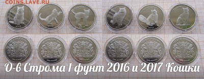 Остров Строма 1 фунт 2016 и 2017 Кошки(6шт). До 6.02.в 22:00 - ъ