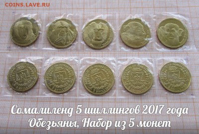 Сомалиленд 5 шиллингов 2017 Обезьяны(5шт). До 6.02.в 22:00 - ъ