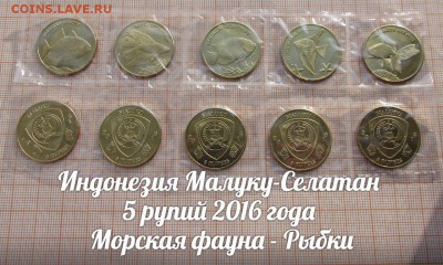 Индонезия 5 рупий 2016 Рыбки(5шт). До 6.02. в 22:00 - ъ