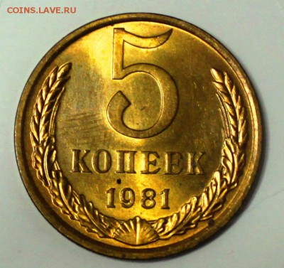 5 копеек 1981 UNC - IMG_0588