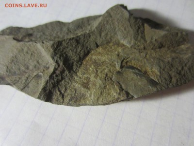 Окаменелая флора Палеозоя, окончание 10.02.2019 22:00 мск - IMG_5955.JPG