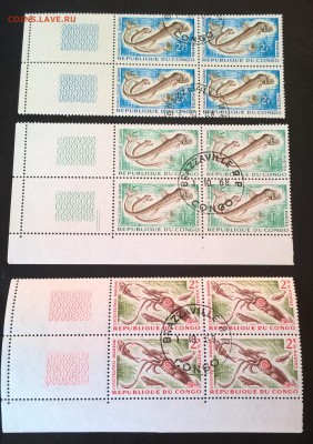 Конго морская фауна 3м в квартах с купонами край листа - 539