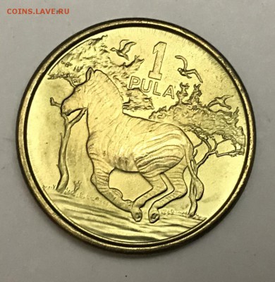 1 пула Ботсвана 2013 UNC с 1 рубля - E39D8DE6-2369-4349-BABE-7C16938008C8