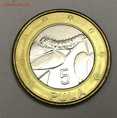 5 пула Ботсвана 2013 UNC с рубля - A92077A2-0D64-4E58-A4F2-165CB4E97CF2