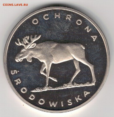 Ag Польша 100 злотых 1978 Лось до 12.02.19 в 22.00мск (Г883) - 5-п100