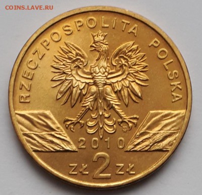 2 злотых 2010 Польша  Летучая мышь до 12.02.19 в 22.00мск - 20190129_130904