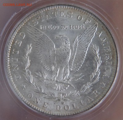  Моргановский доллар 1884-О США - 4-rfSsA5DefKs
